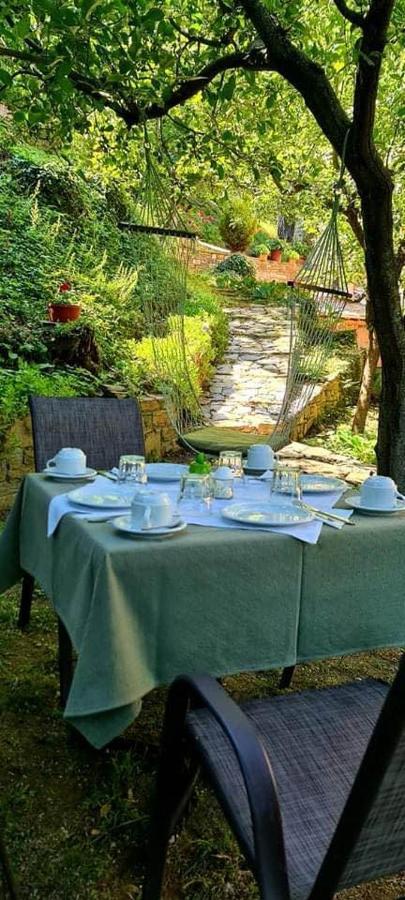 Filoxenia Otel Tsagkarada Dış mekan fotoğraf