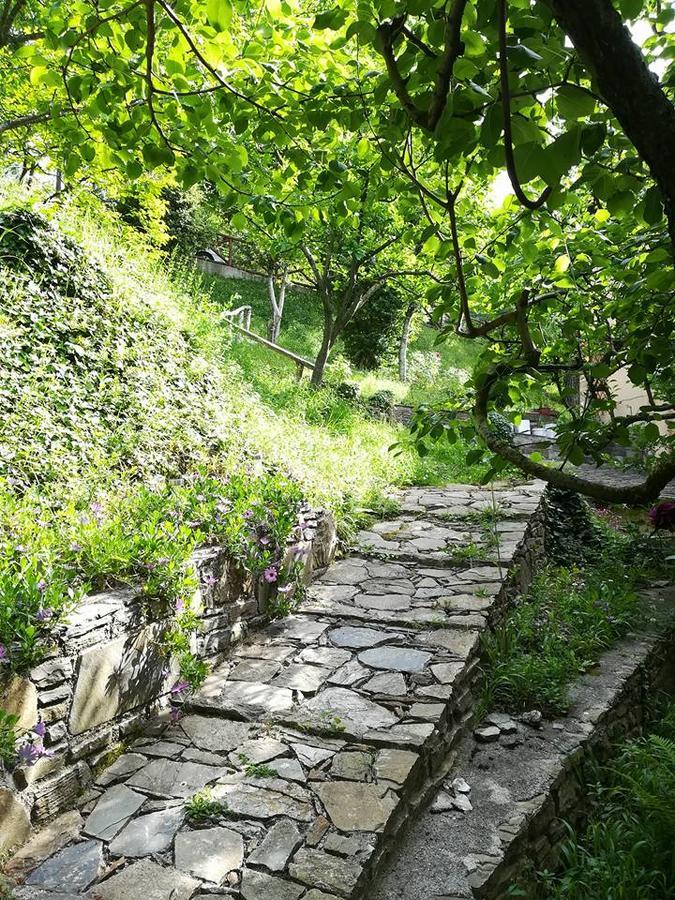 Filoxenia Otel Tsagkarada Dış mekan fotoğraf